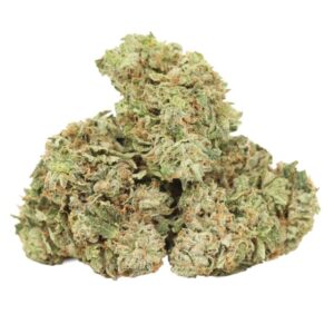 Blueberry Widow Strain