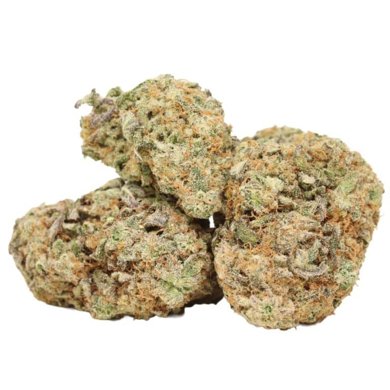 Jack Herer Strain