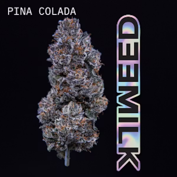 Milkweed - Pina Colada Strain - 3.5g Flower