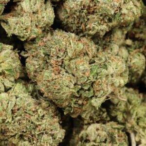 Alien Cookies Strain