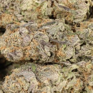 Girl Scout Cookies Strain