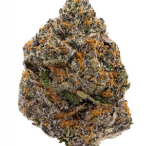 Black Cherry Gelato Strain