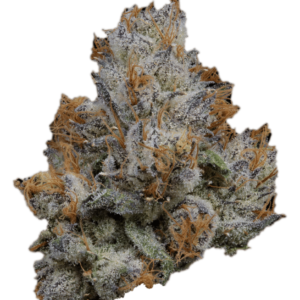 Buy LEMON CHERRY GELATO STRAIN – By BACKPACKBOYZ