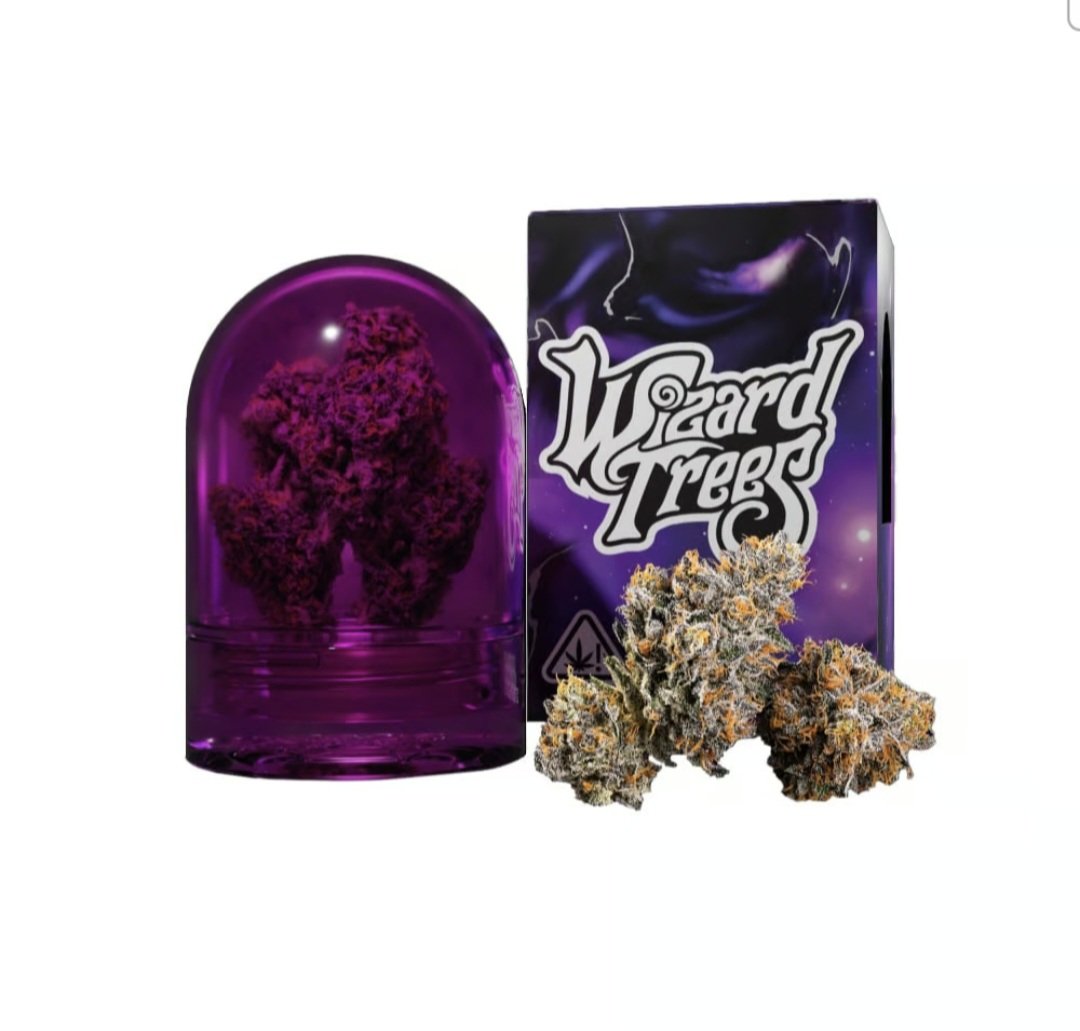 Buy ZOZA STRAIN by Wizard Trees