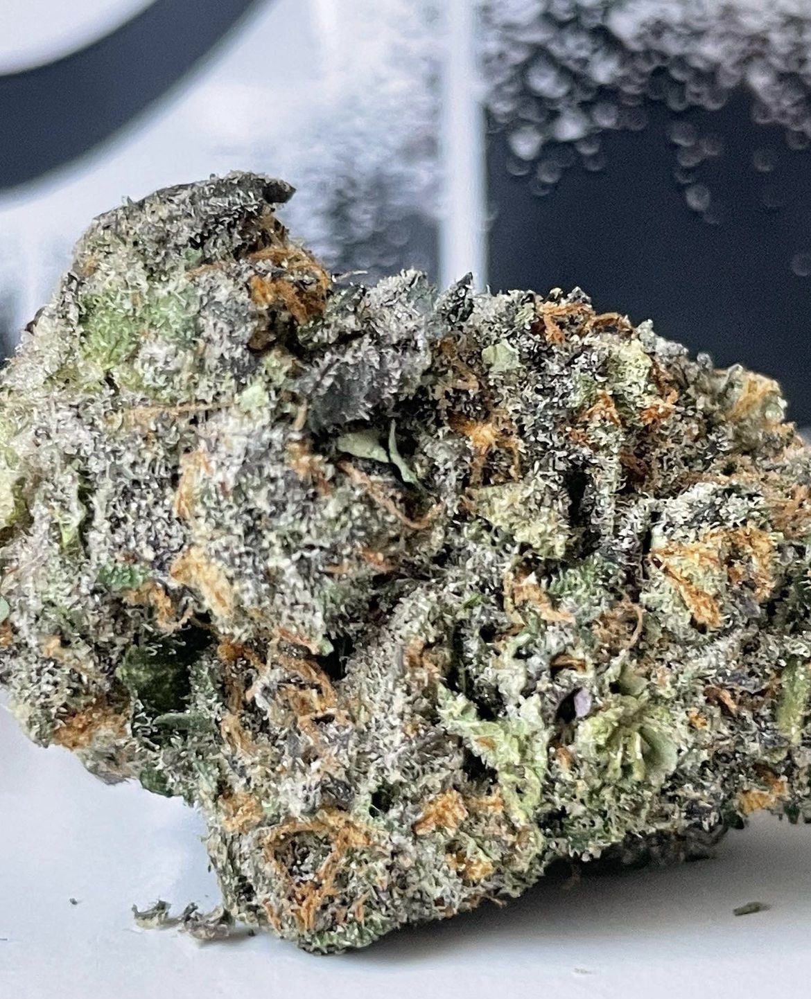 FRUITRIDGE STRAIN by Doja