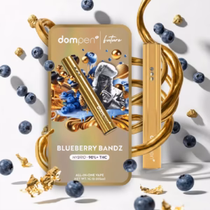 dompen x Future™ Blueberry Bandz All-In-One 1G